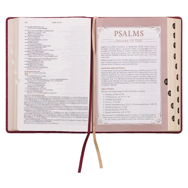212-0211 Product Image 6