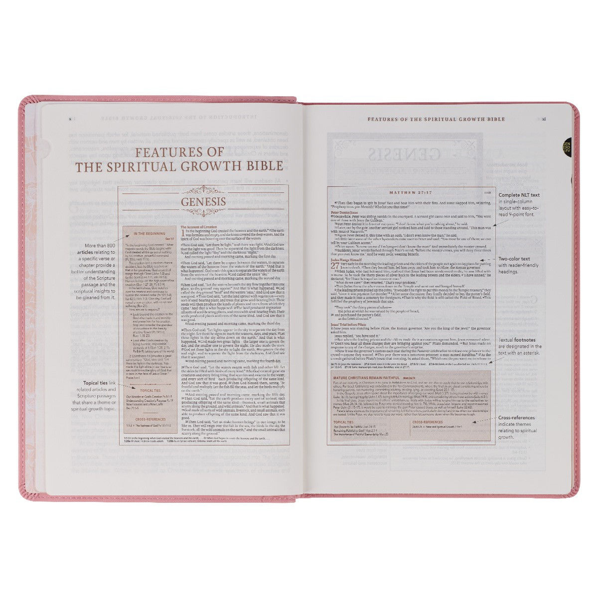 212-0212 Product Image 5