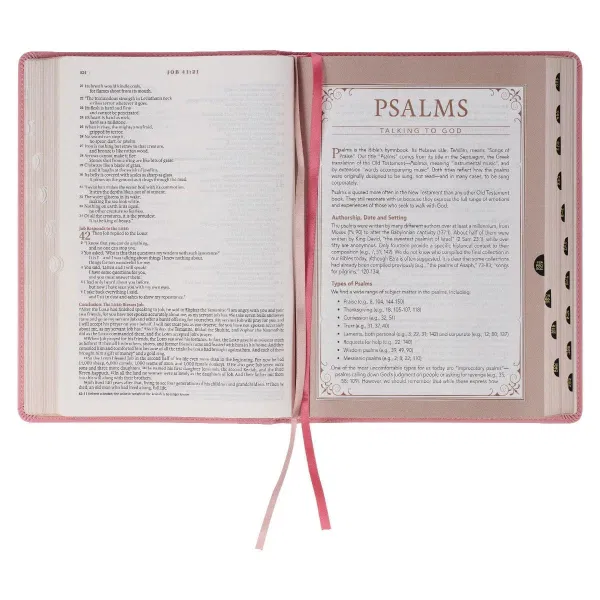 212-0212 Product Image 6