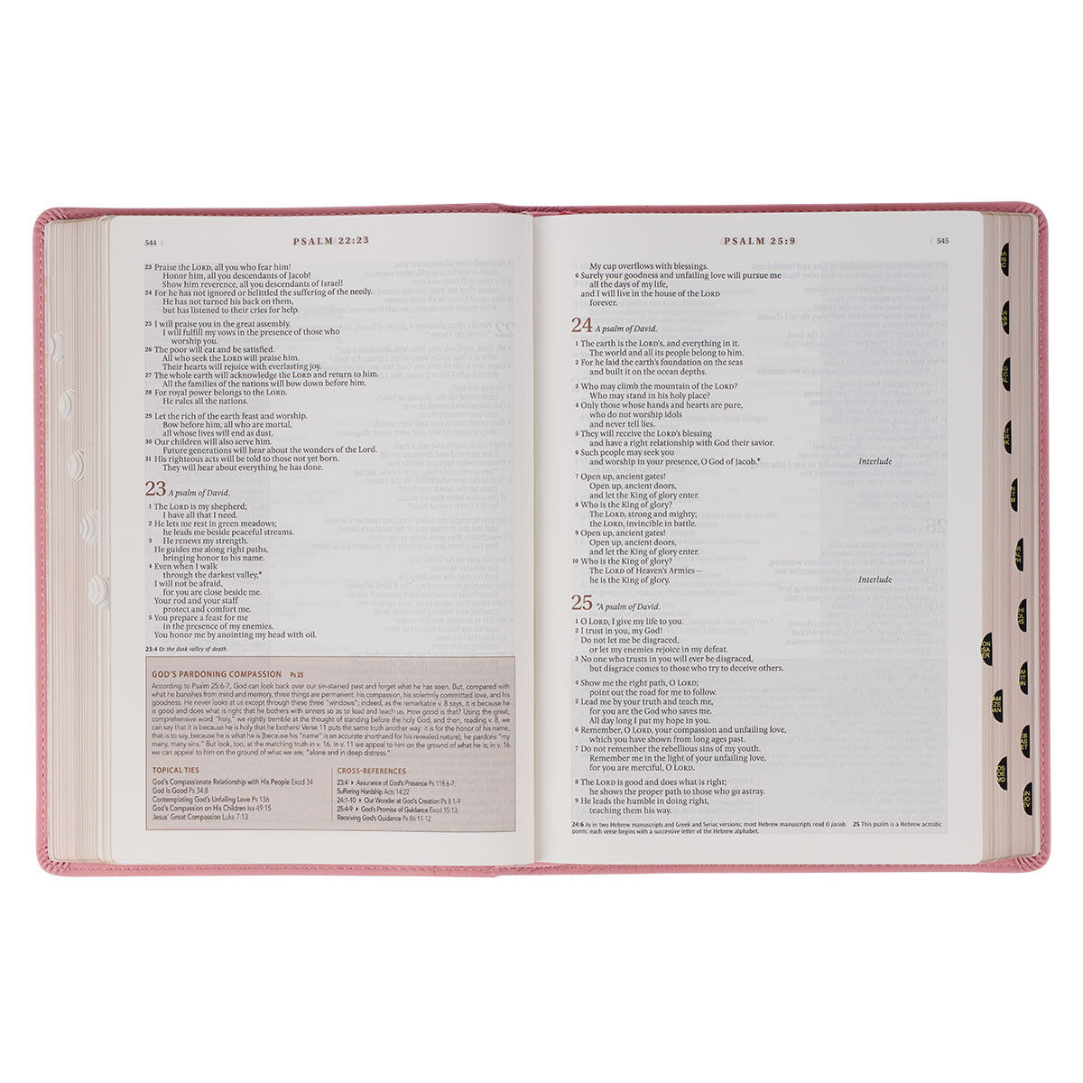 212-0212 Product Image 7
