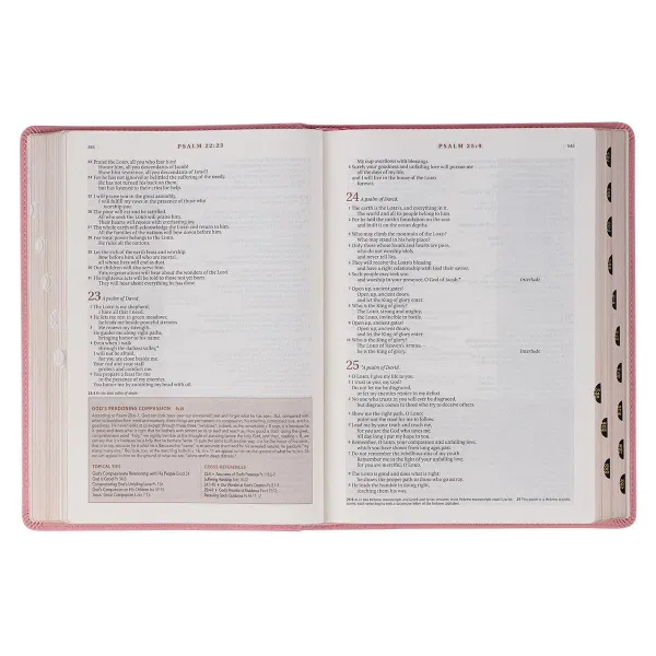 212-0212 Product Image 7