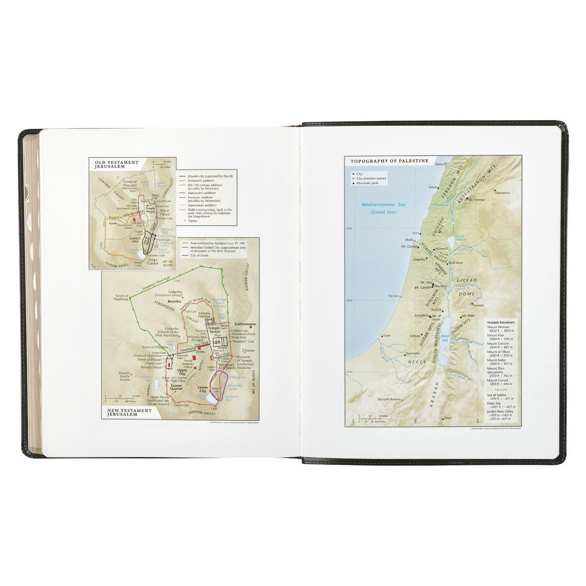 212-0216 Product Image 5