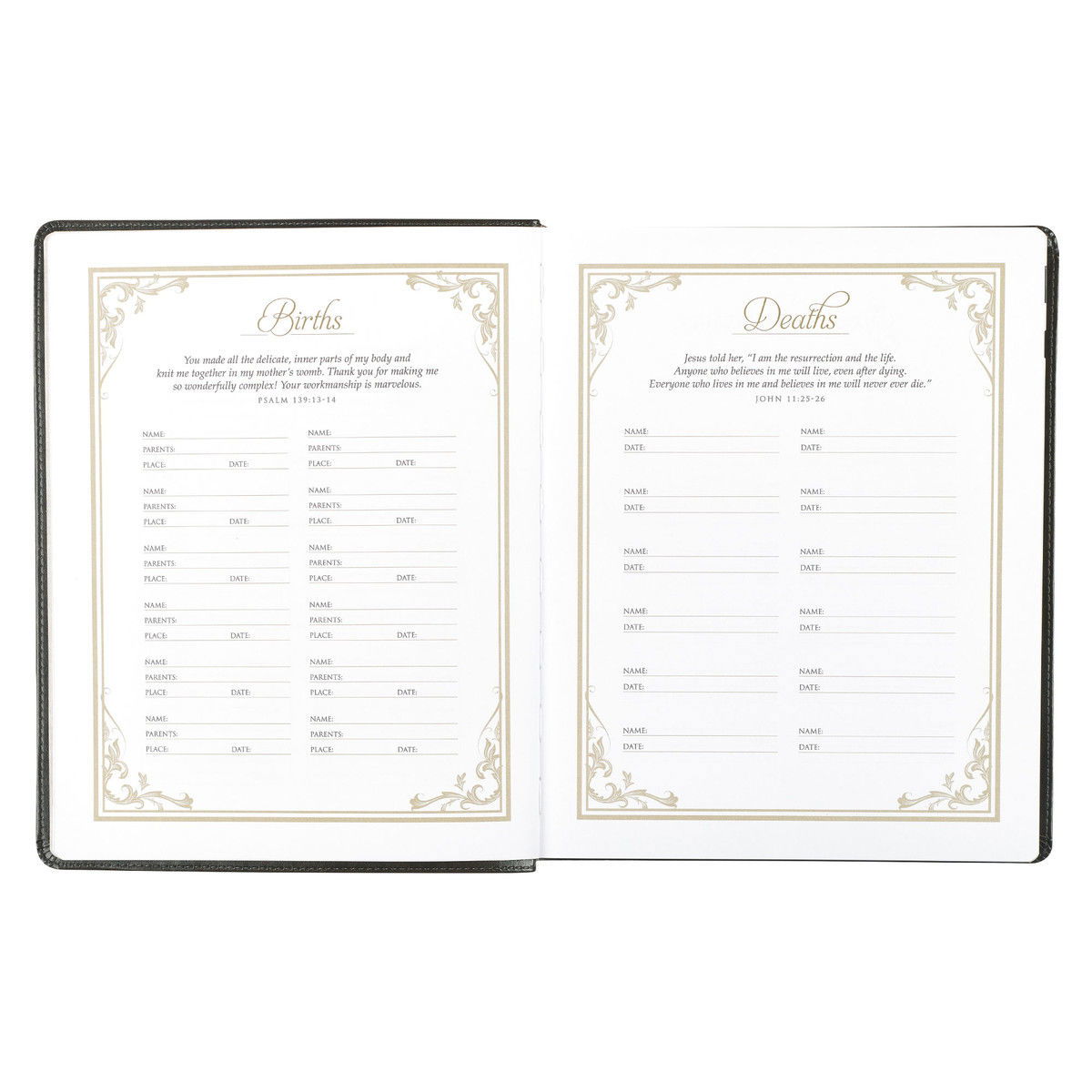 212-0216 Product Image 9