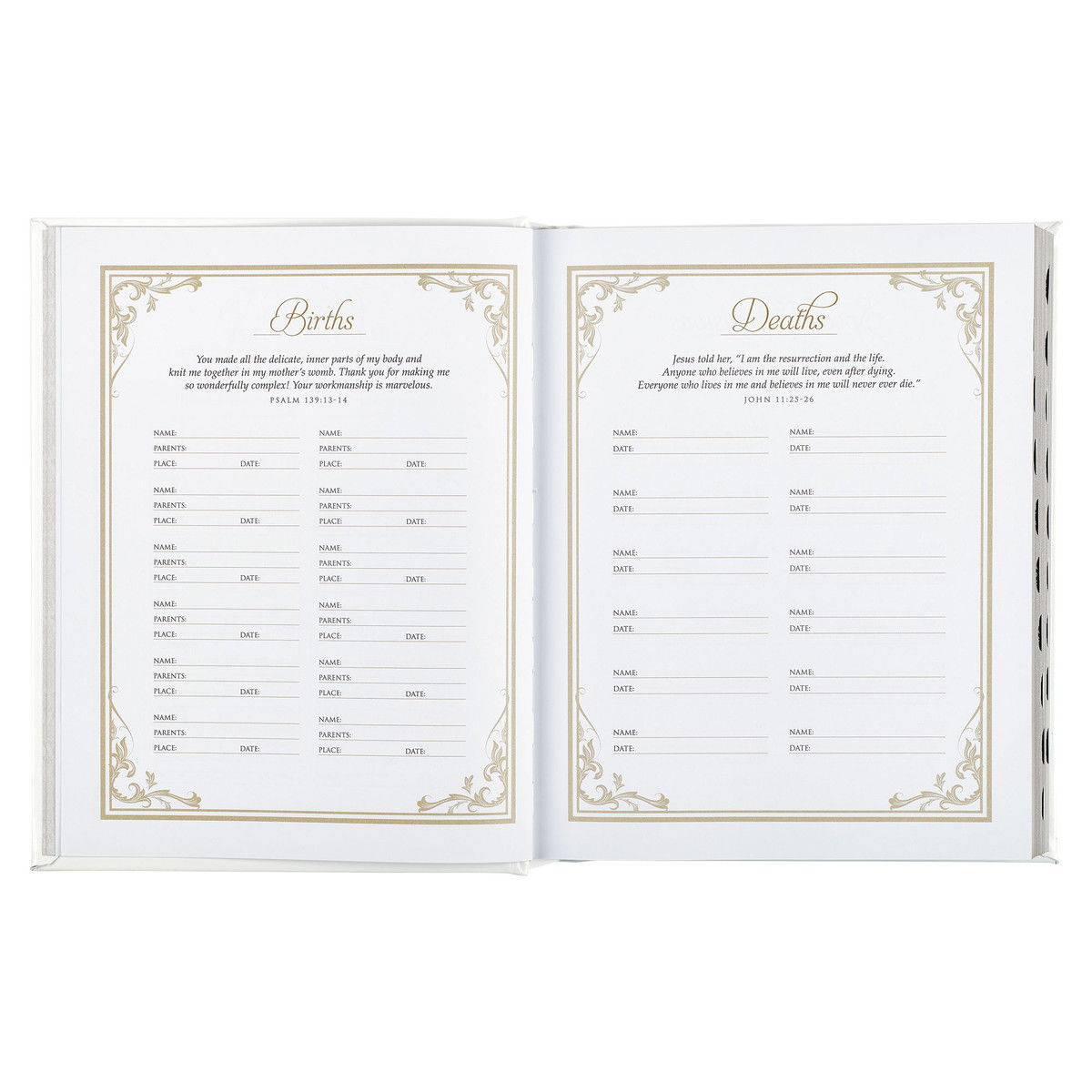 Product 212-0218 - View 8 212-0218 Product Image 8