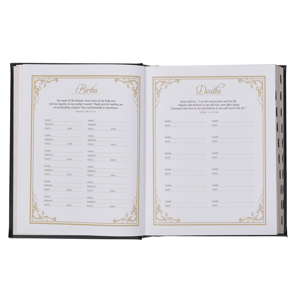 212-0219 Product Image 7