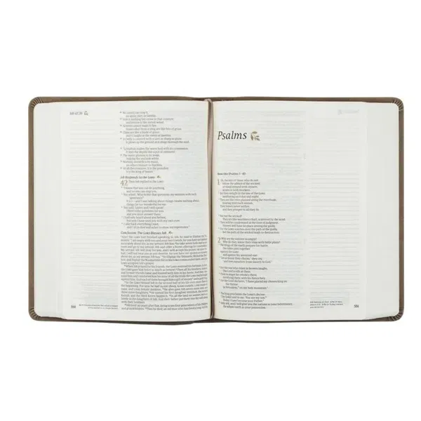 212-0221 Product Image 3