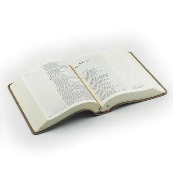 212-0221 Product Image 4