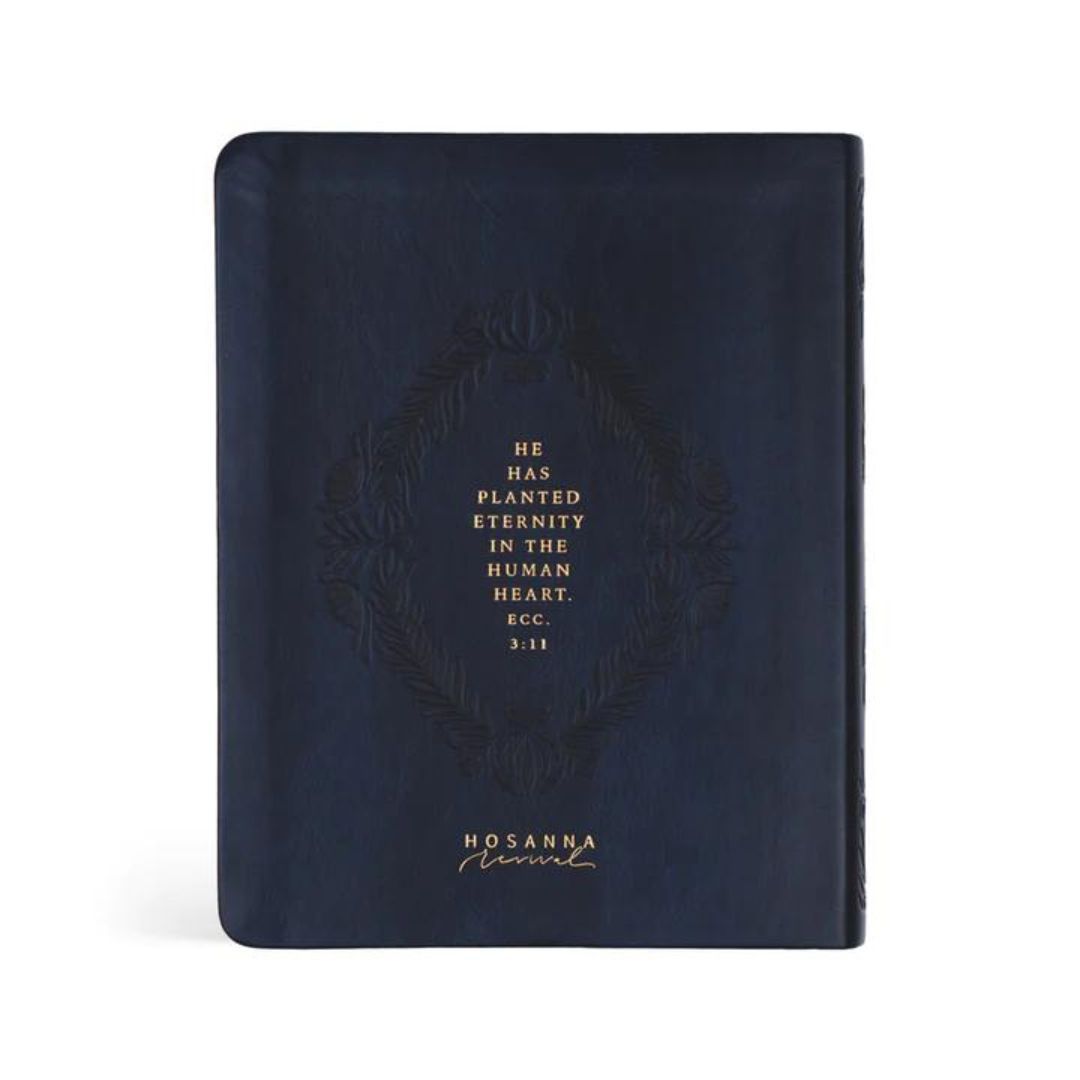 212-0222 Product Image 2