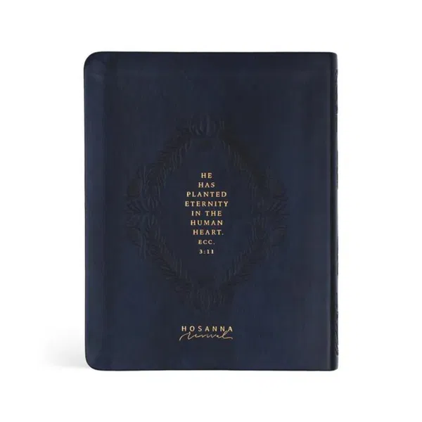 212-0222 Product Image 2
