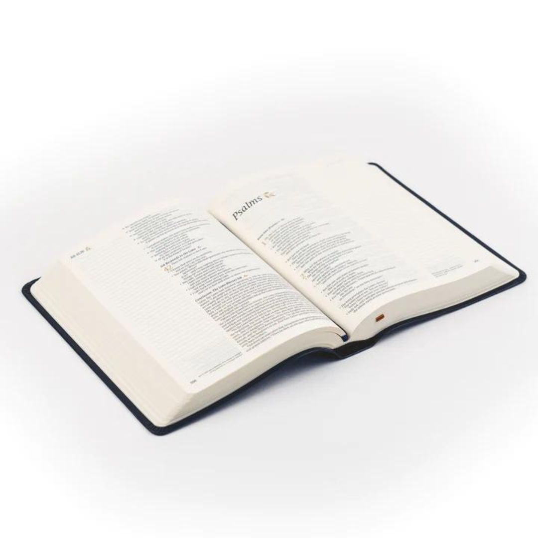 212-0222 Product Image 4