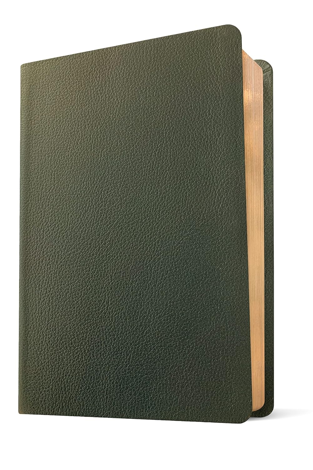 212-0232 Product Image 2