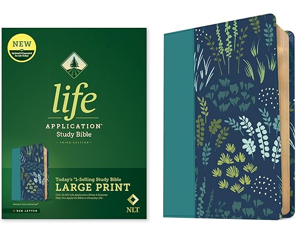 Image of NLT Life Application Study Bible Large Print Meadow Teal Leatherlike