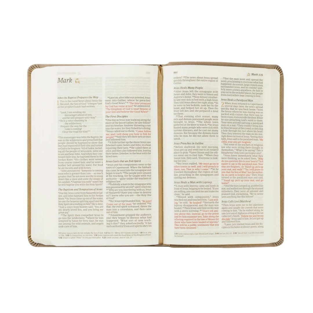 Product 212-0249 - View 6 212-0249 Product Image 6