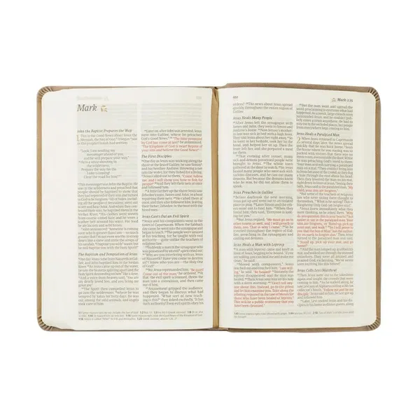 212-0249 Product Image 6