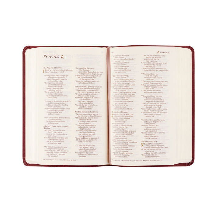 212-0272 Product Image 5