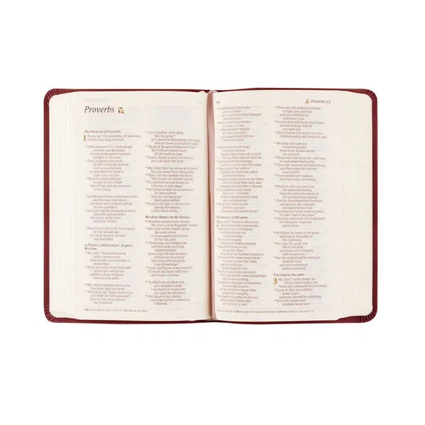 212-0272 Product Image 5
