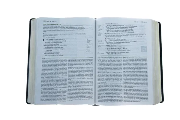 212-0348 Product Image 3