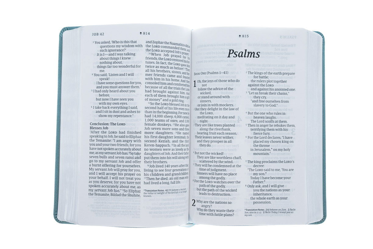 Product 212-1165 - View 4 212-1165 Product Image 4