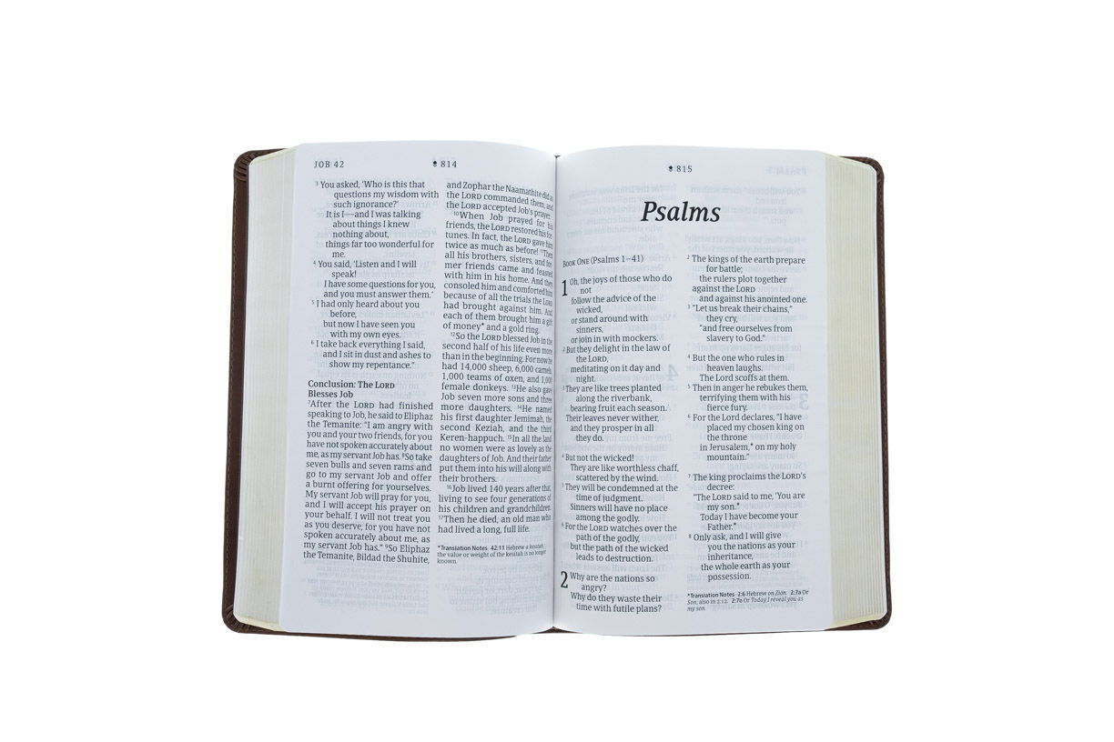 212-1166 Product Image 3