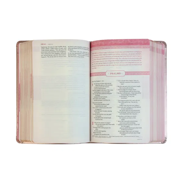 212-1169 Product Image 3