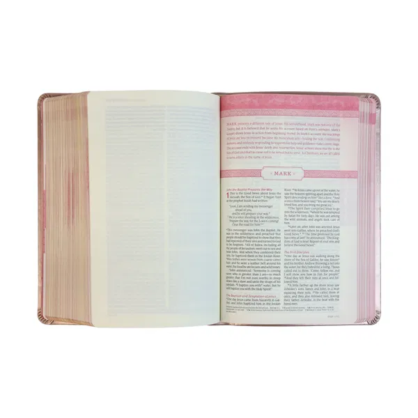 212-1169 Product Image 4