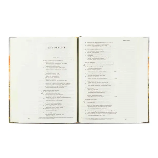 212-1204 Product Image 2