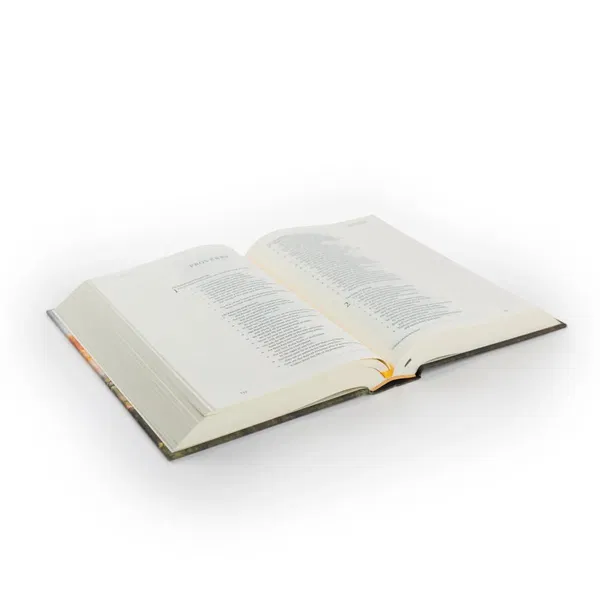 212-1204 Product Image 3