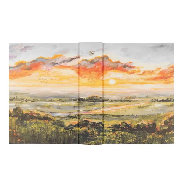 212-1204 Product Image 4