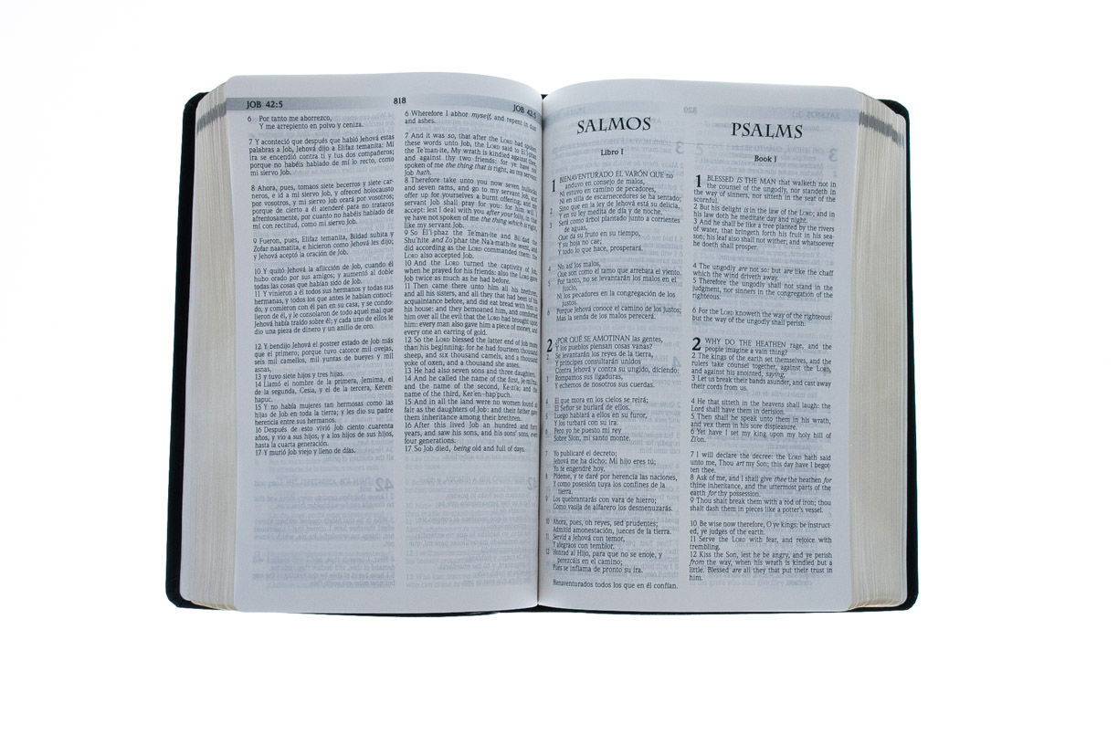 216-0003 Product Image 4