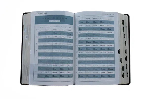 221-0029 Product Image 5