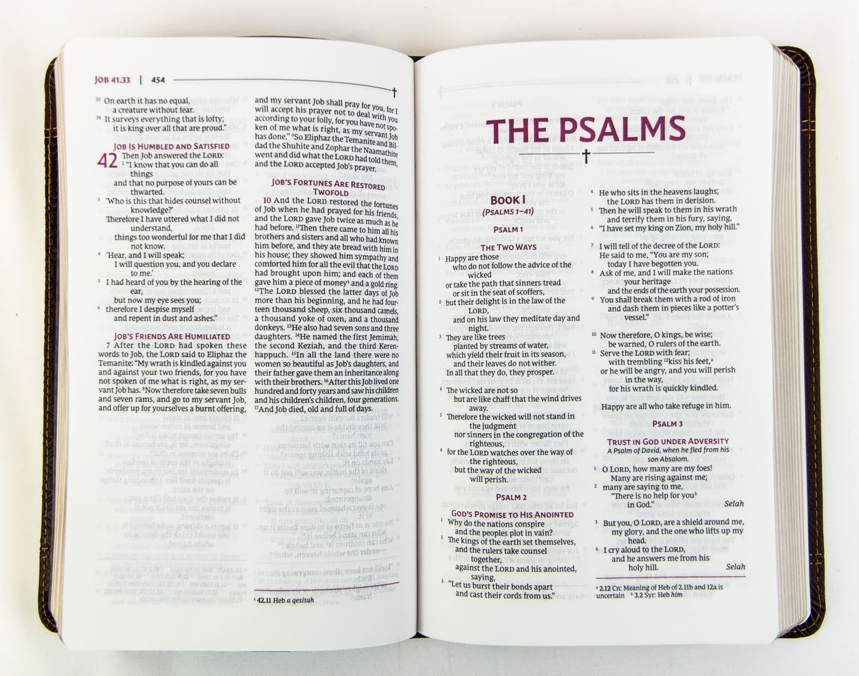 226-0019 Product Image 3