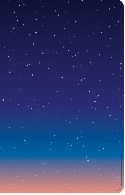 Product 226-0022 - View 1 226-0022 Product Image 1