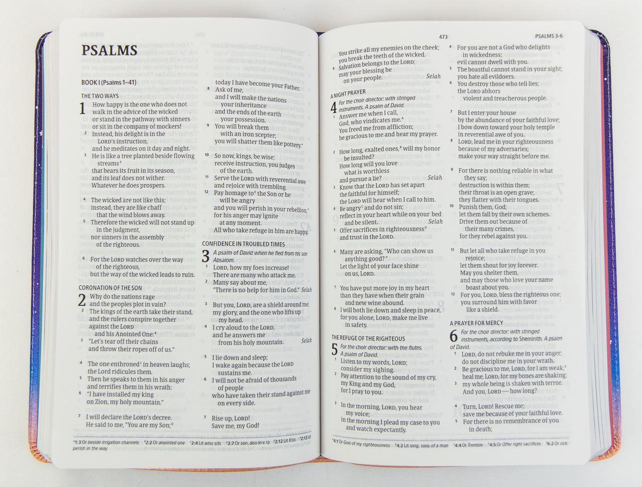 Product 226-0022 - View 3 226-0022 Product Image 3