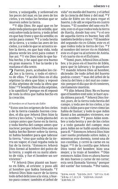 Product 226-0032 - View 5 226-0032 Product Image 5