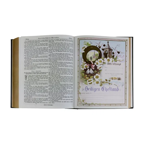 226-0037 Product Image 3