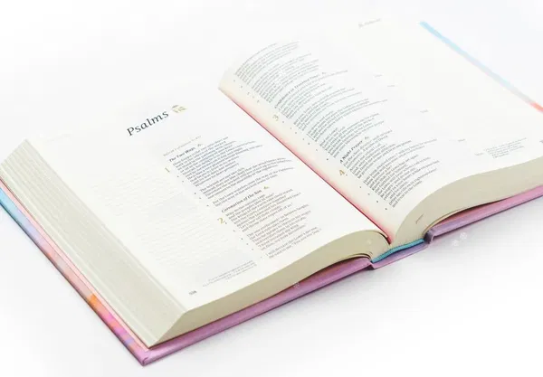 226-0039 Product Image 6
