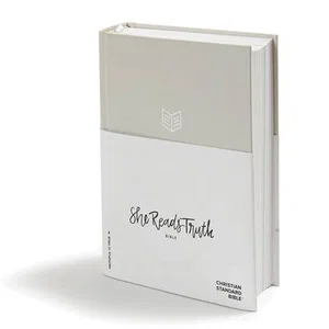 CSB She Reads Truth Bible Grey