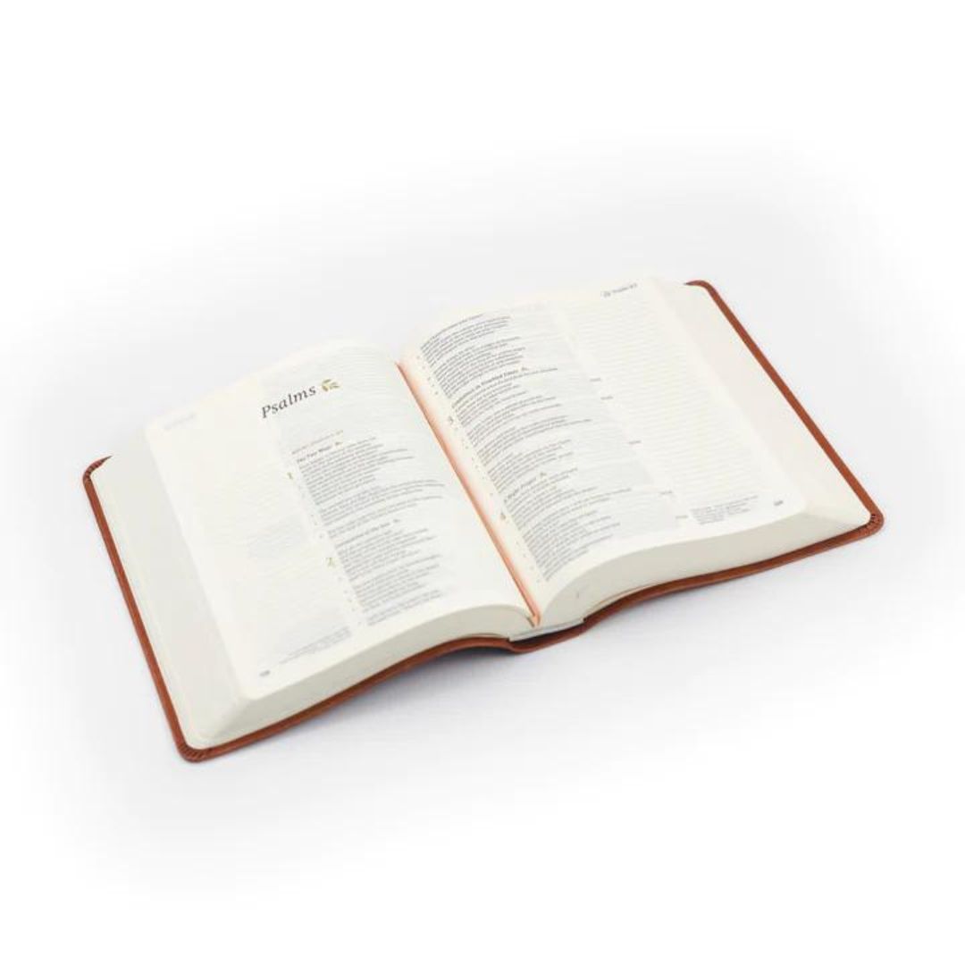 226-0056 Product Image 4