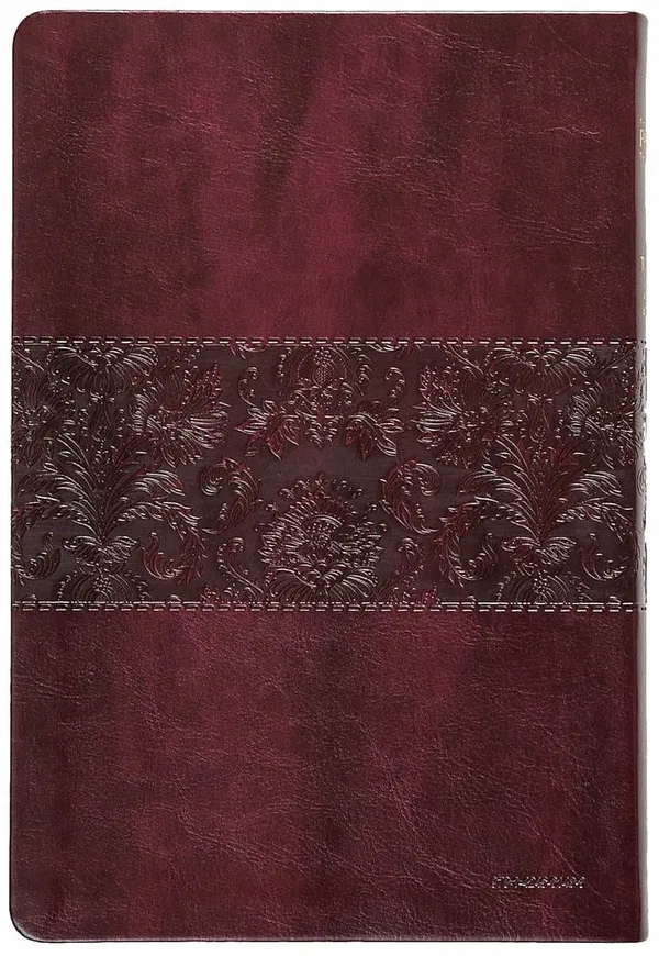 226-0097 Product Image 2