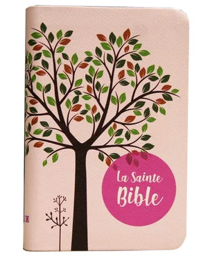 Bible Segond 1910: Rose French Bible