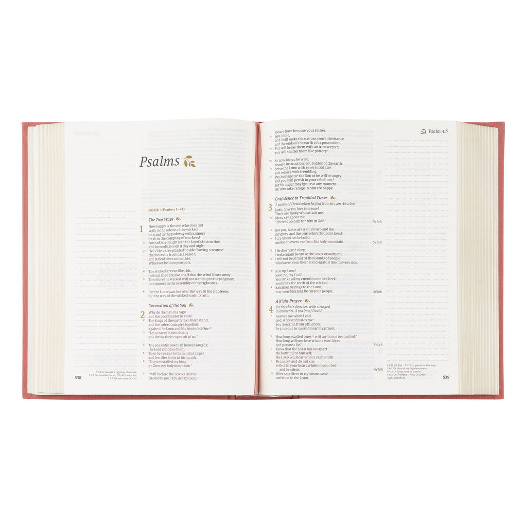 226-0137 Product Image 5