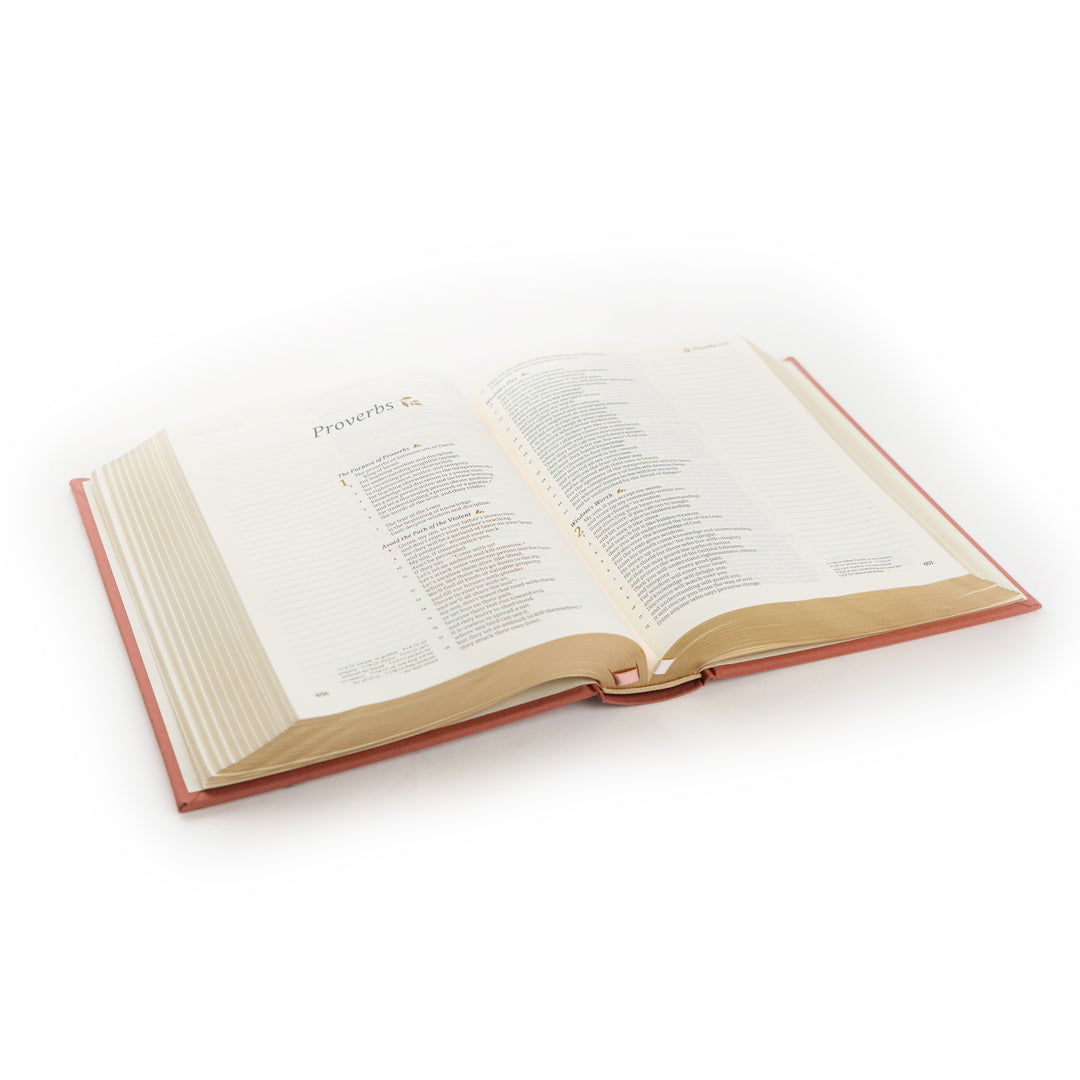 226-0137 Product Image 6