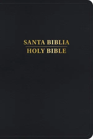 RVR 1960/KJV Biblia Bilingüe, Black Imitation Leather