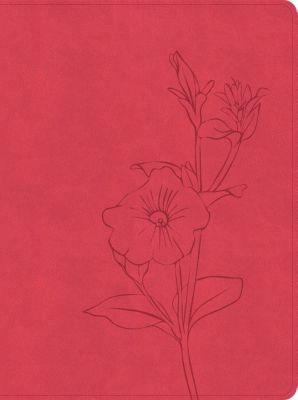 Product 226-0146 - View 1 226-0146 Product Image 1