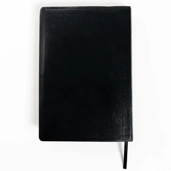 226-0151 Product Image 2