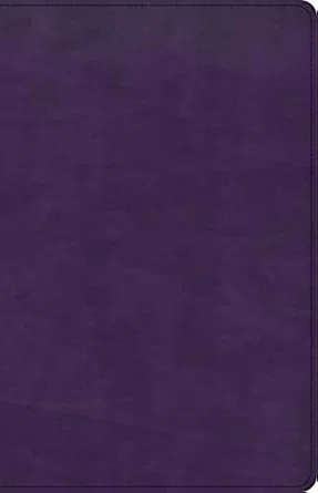 CSB Large Print Personal Size Reference Bible, Purple Leathertouc