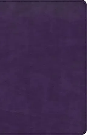 226-0173 Product Image 1