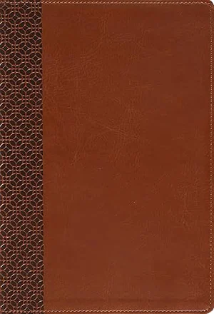Amplified Holy Bible, Large Print, Leathersoft, Brown