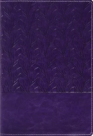 Amplified Holy Bible, Large Print, Leathersoft, Purple