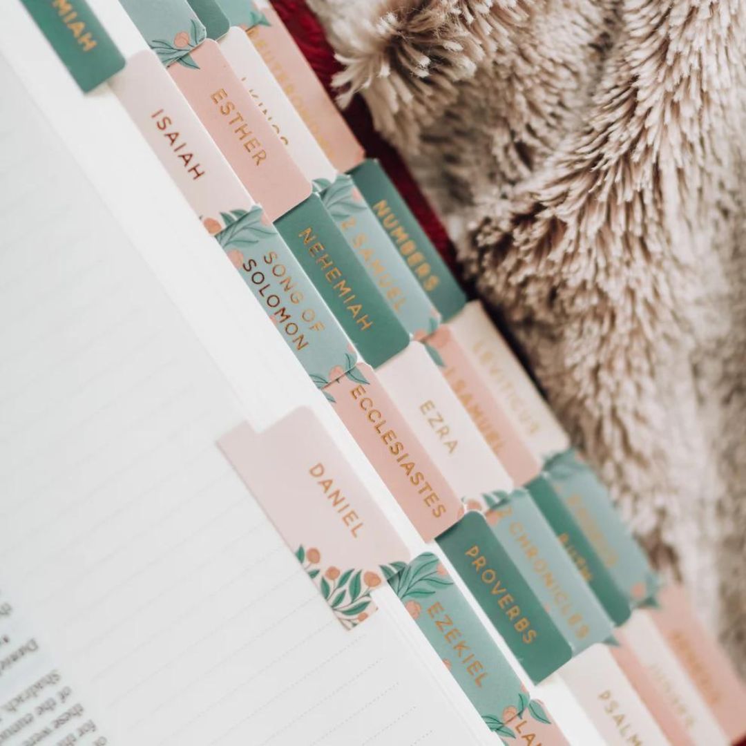 250-1016 Product Image 5